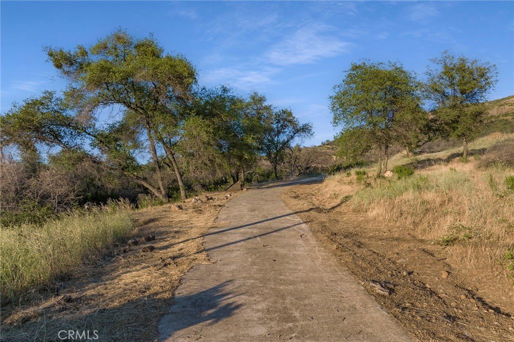 Picture 23