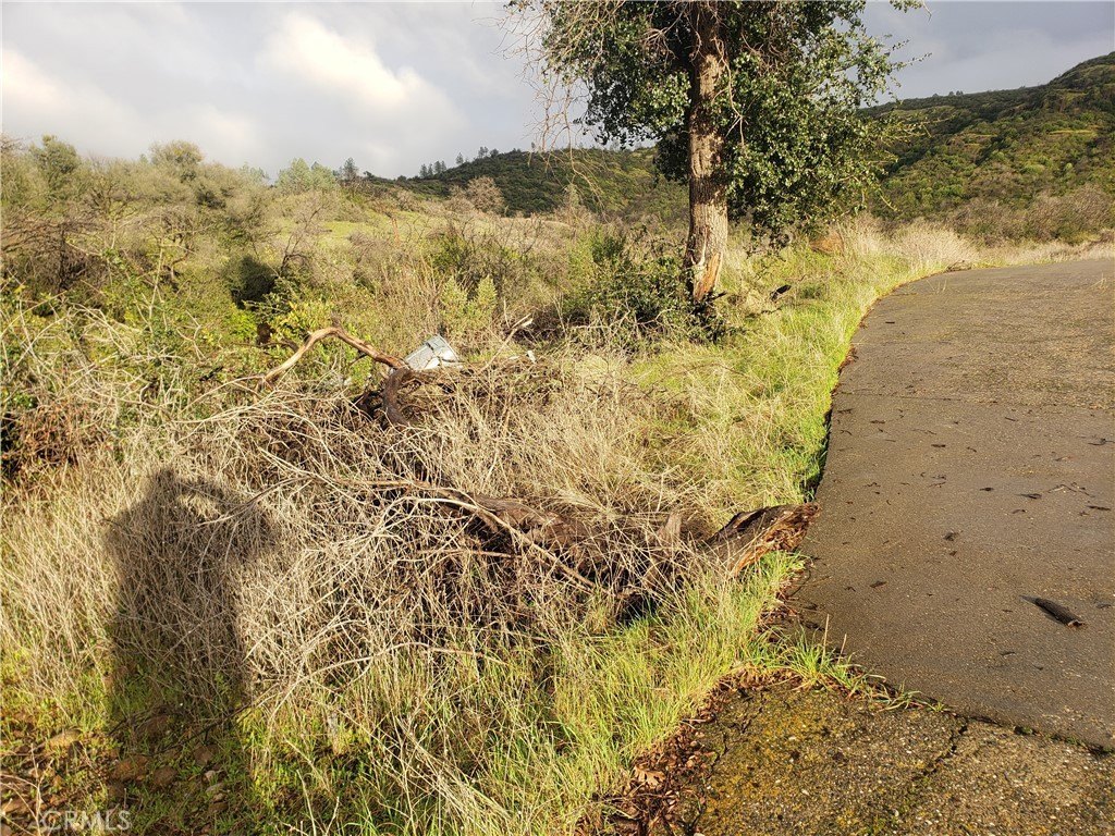Picture 57