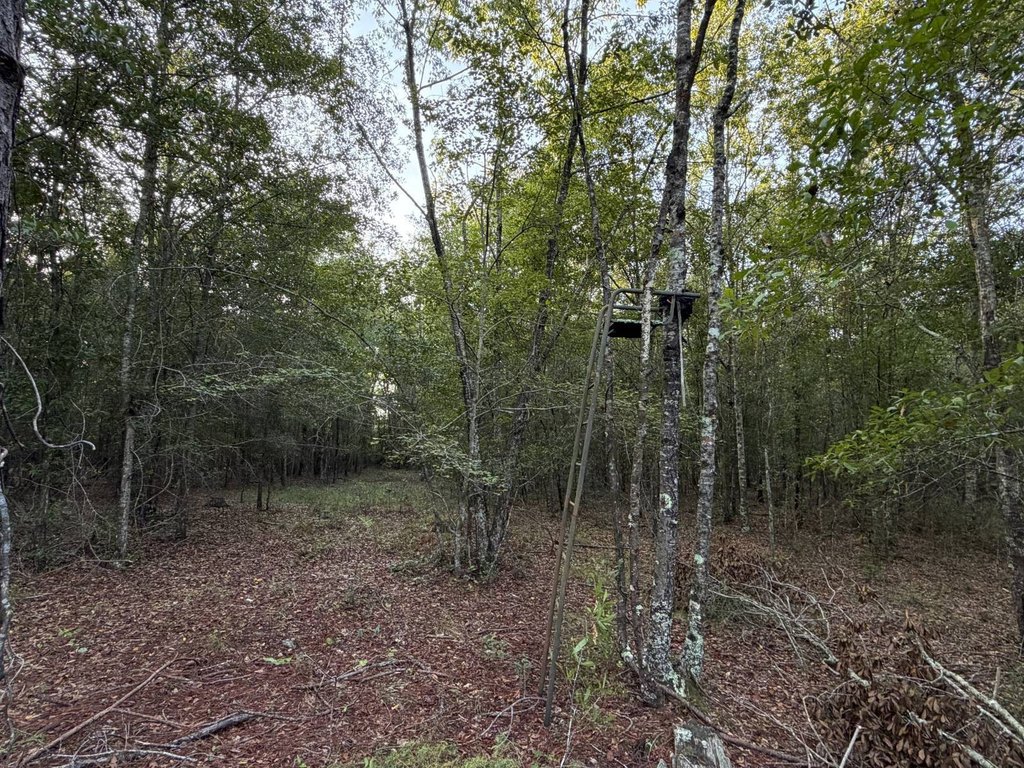 Picture 9
