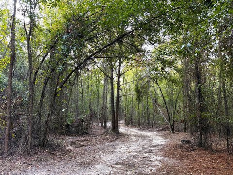 Land, Twin City, GA