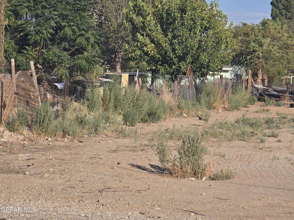 Picture 4
