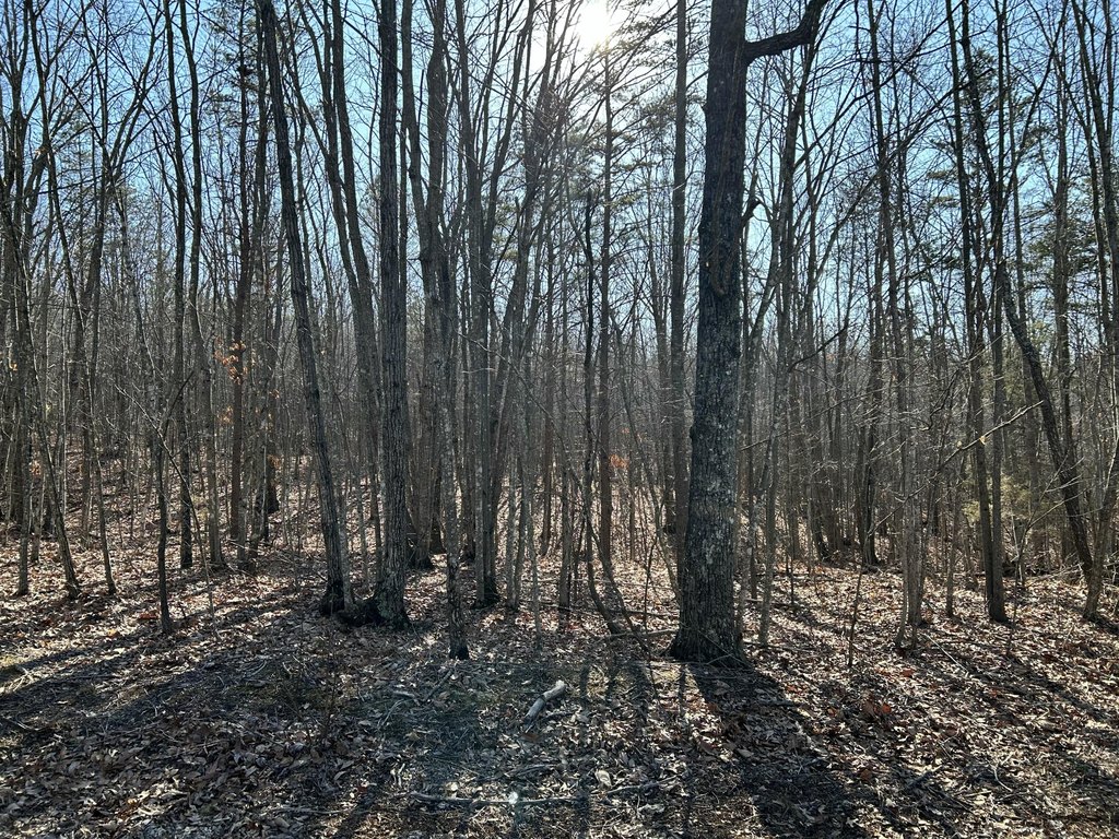 Picture 5