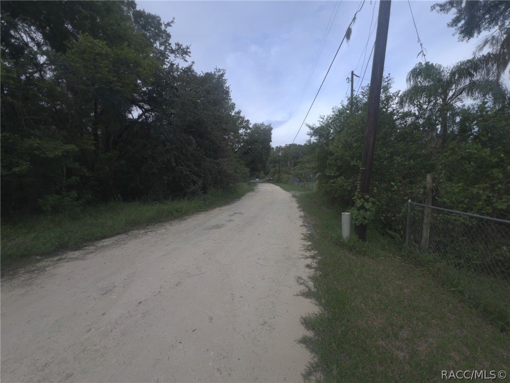 Picture 11
