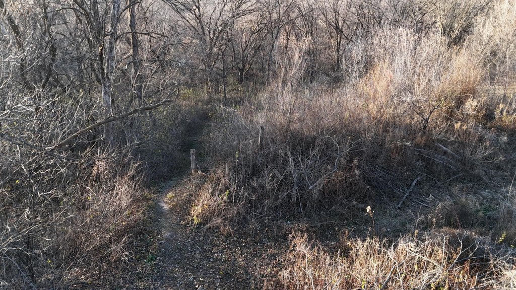Picture 14
