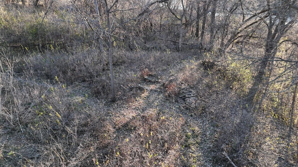 Picture 16