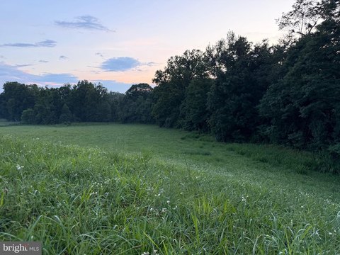 Cleared Lot Ready for Building