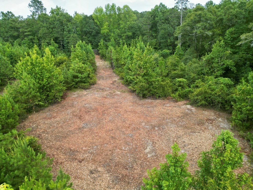 Picture 5