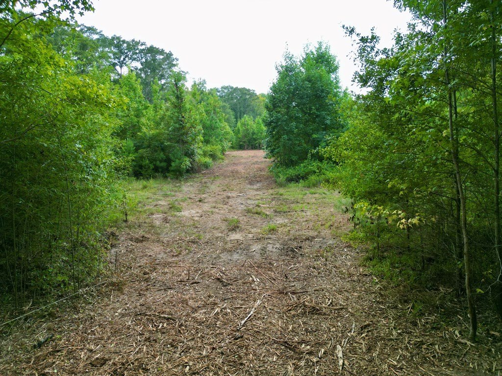 Picture 3