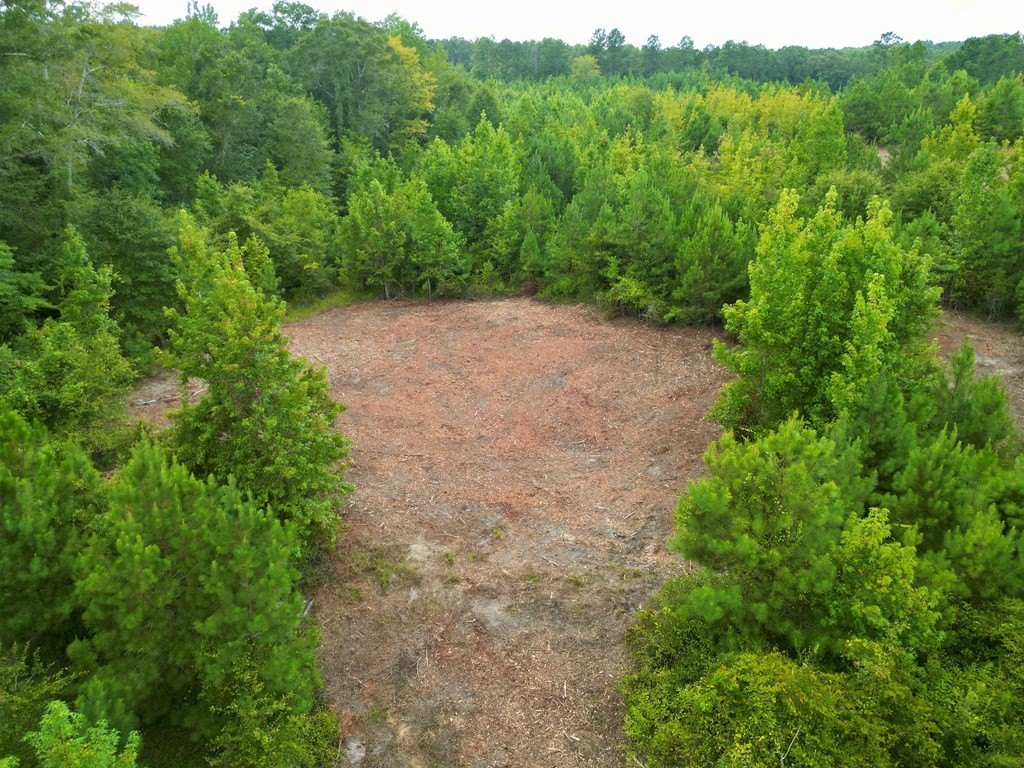 Picture 4