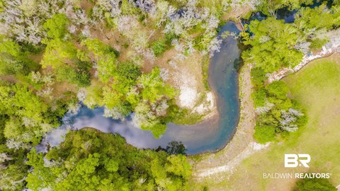 Magnolia Springs Waterfront Land Parcel
