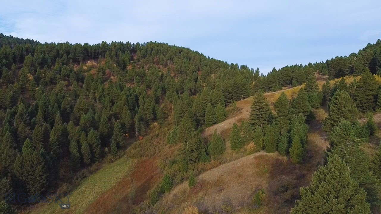 230 Acres in Bozeman, MT