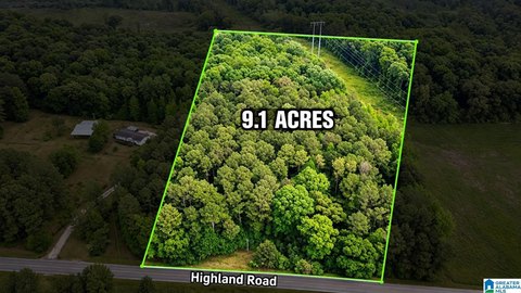 LAND/LOTS, LINEVILLE, AL