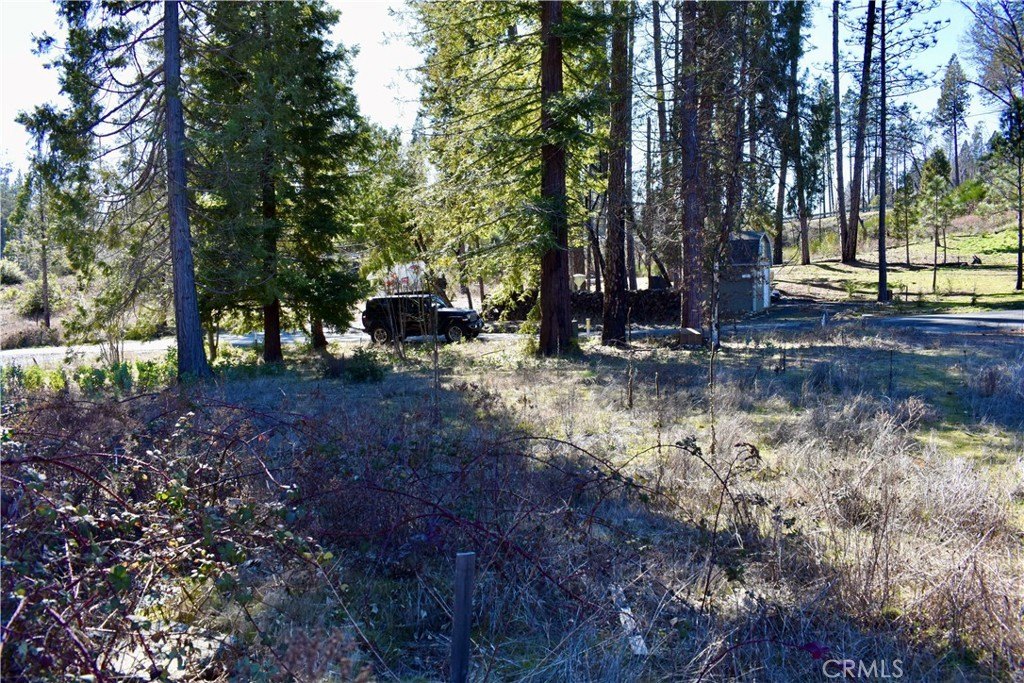 Picture 20