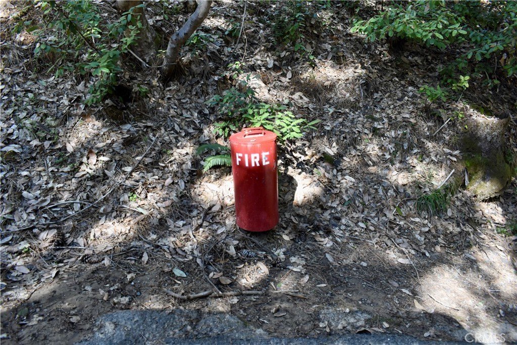 Picture 41