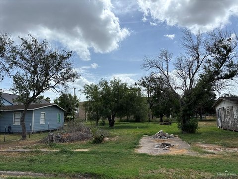 LAND - Mercedes, TX