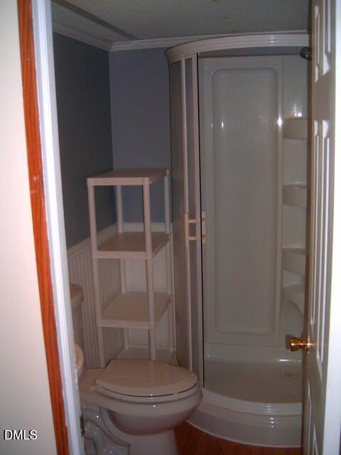 Picture 24