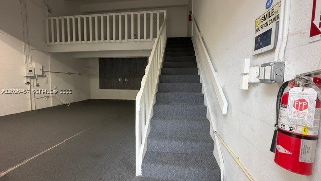 Picture 5