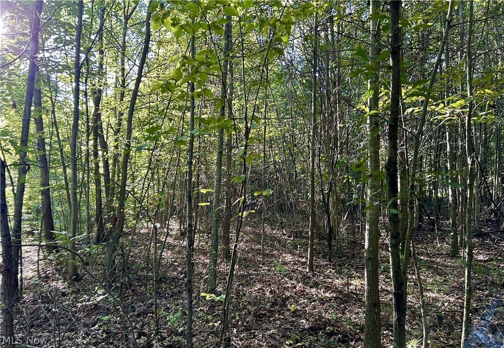 Picture 10