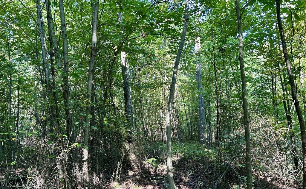 Picture 12