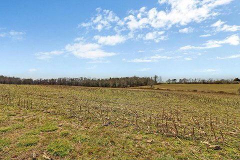 Farmland in Jamestown, Tennessee