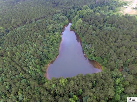 Timberland with Private Pond