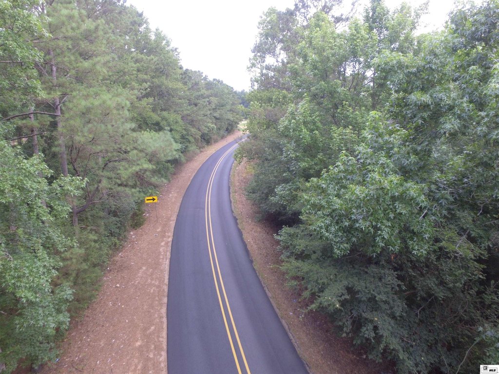 Picture 3