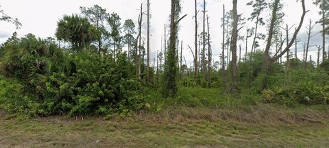 Vacant Residential Lot in RS-1