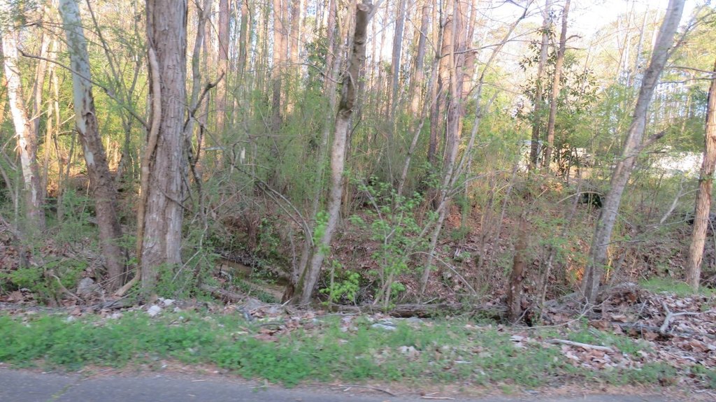 Picture 11