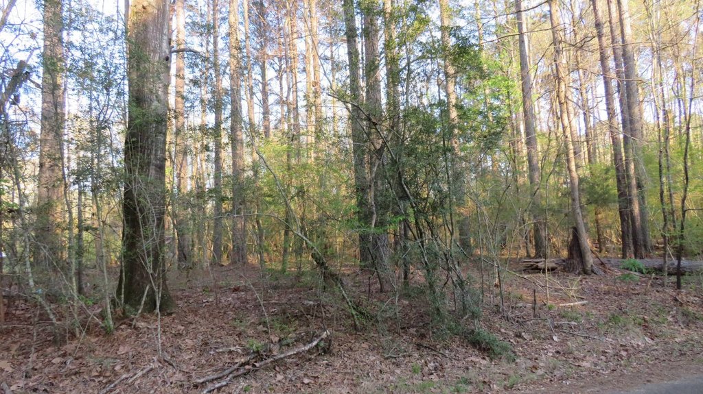 Picture 4