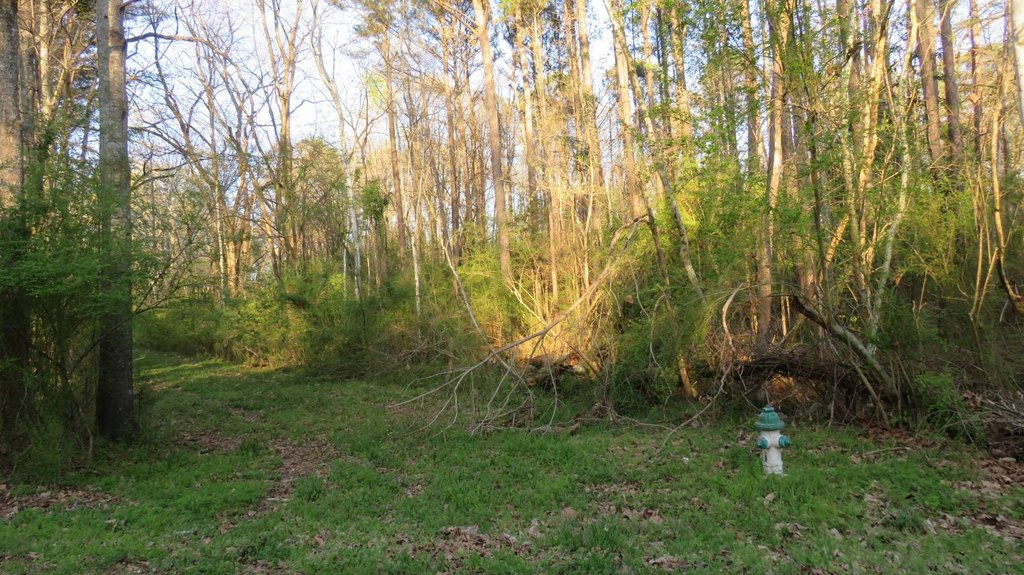 Picture 9