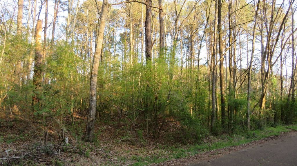 Picture 6
