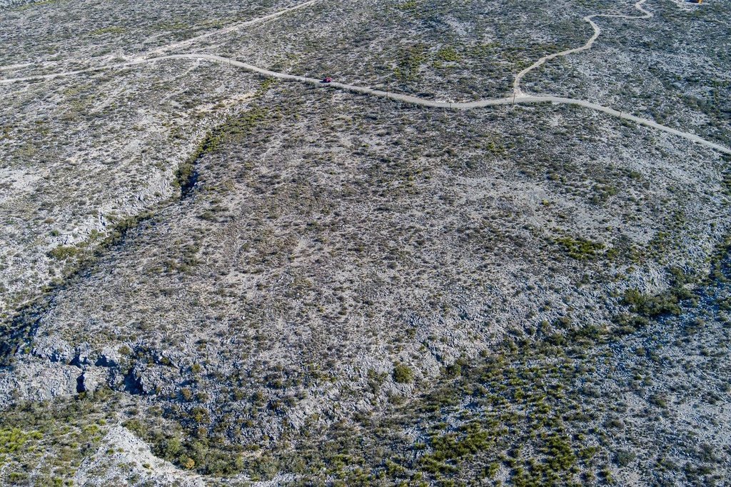 Picture 10