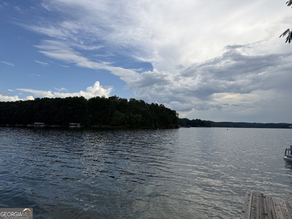 Picture 5