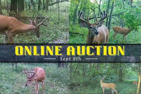 71-Acre Hunting Land Tract