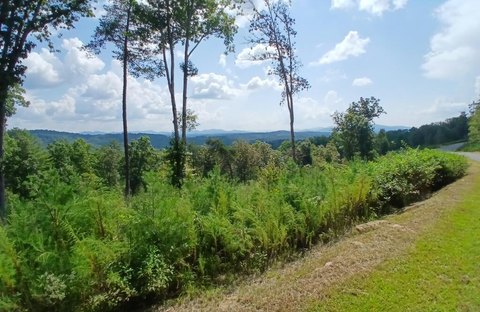 Vacant Lot, Mineral Bluff, GA