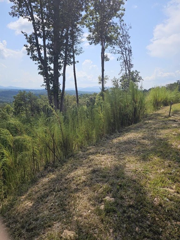 Picture 7