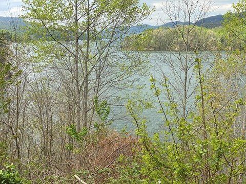 Waterfront Lot in Cherokee Forest