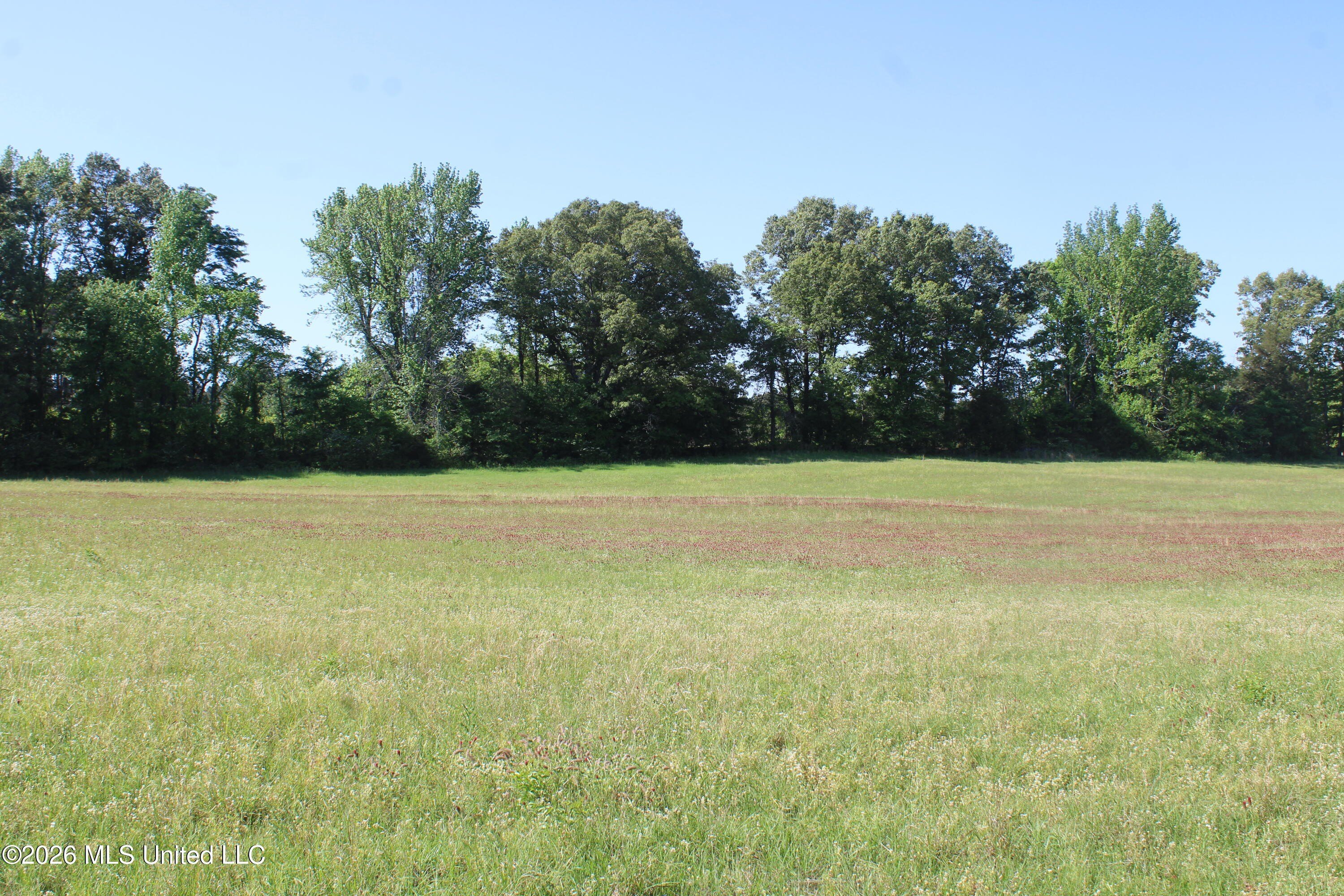 Residential Lot in Lake Cormorant