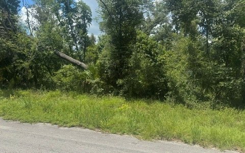 Vacant Land, Dowling Park, FL