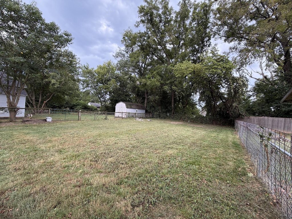 Picture 9