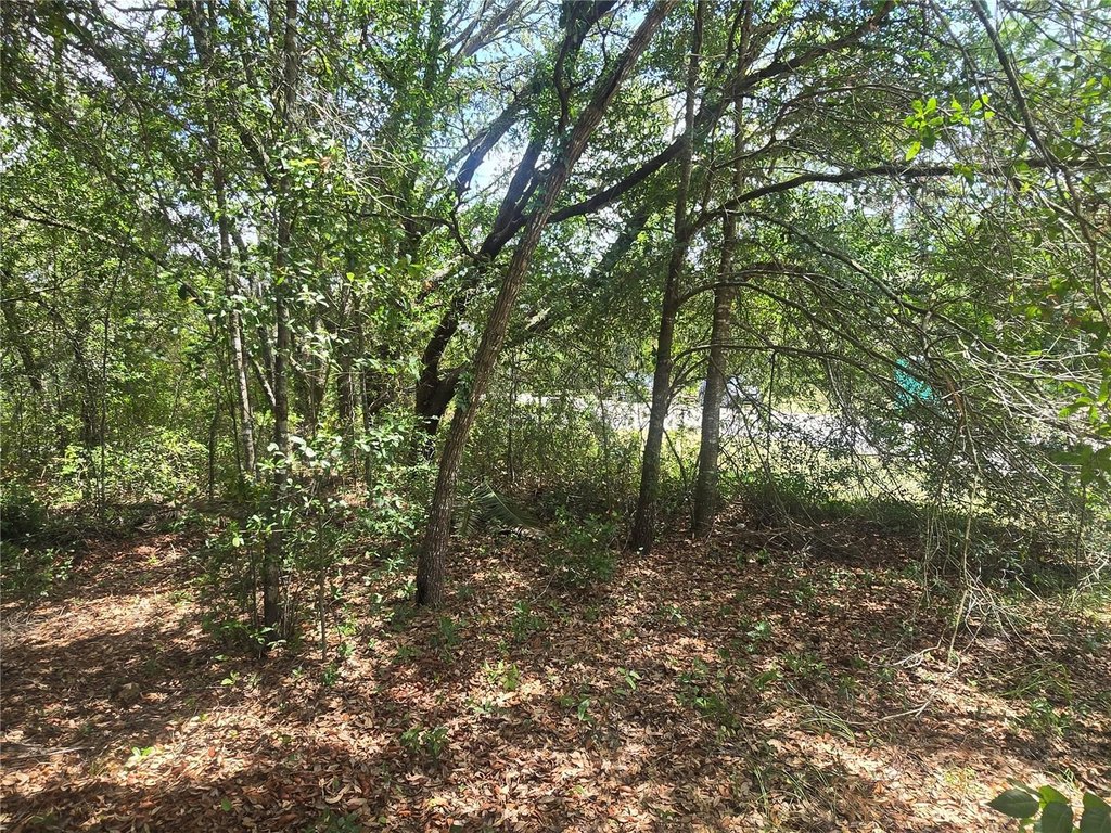 Picture 12