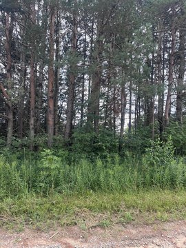 LAND - Elmira, MI