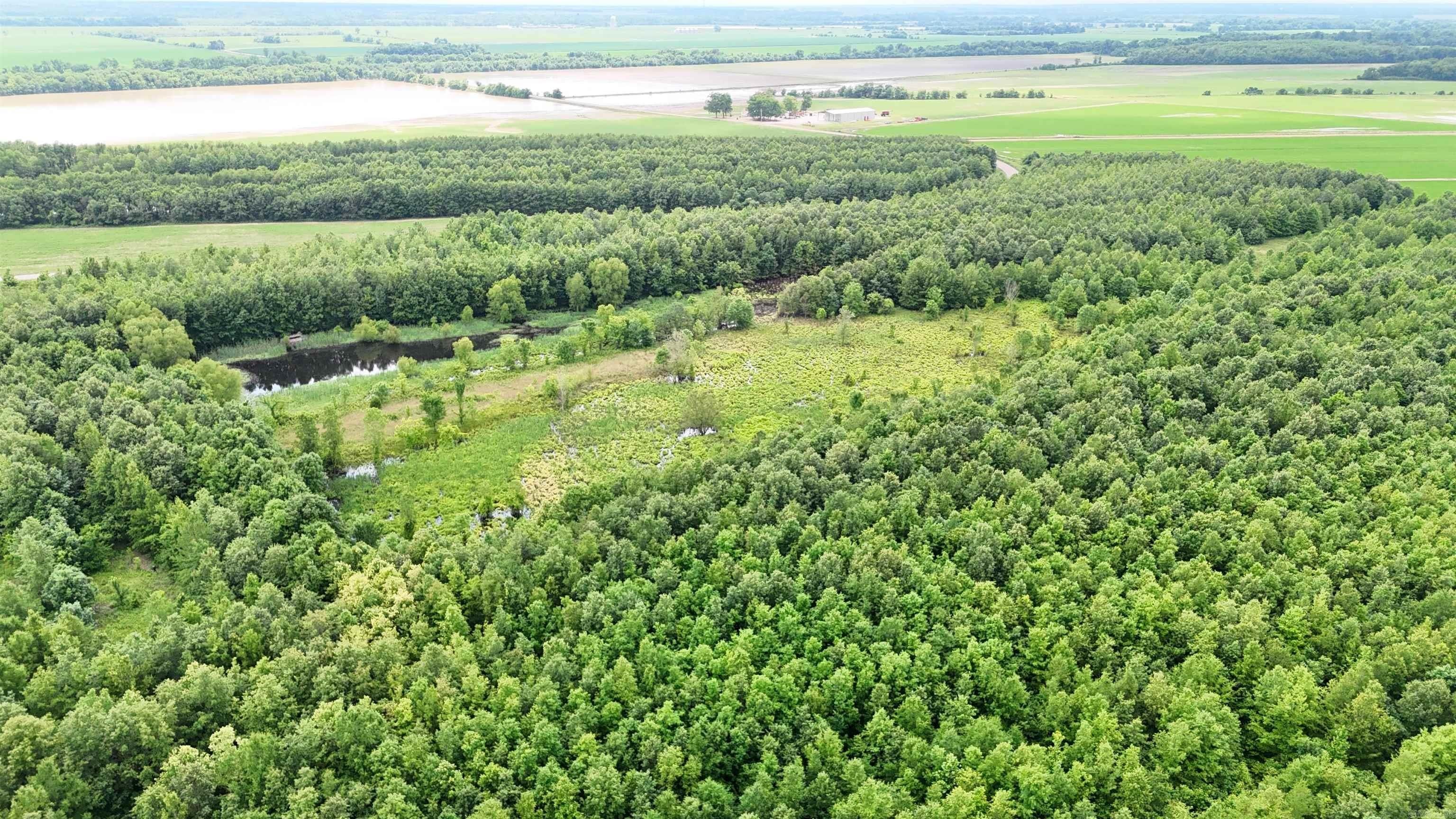 Earle, AR Hunting Land