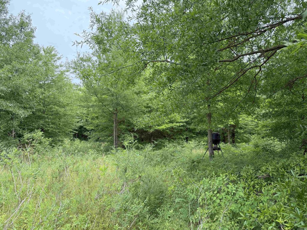 Picture 21