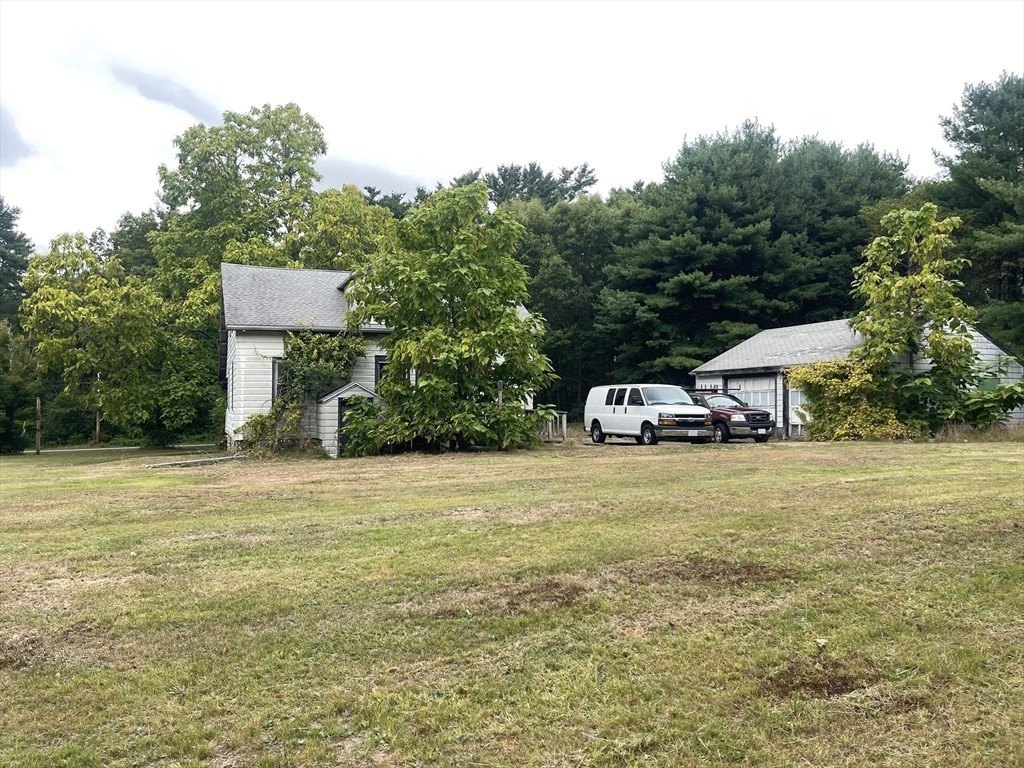Picture 3