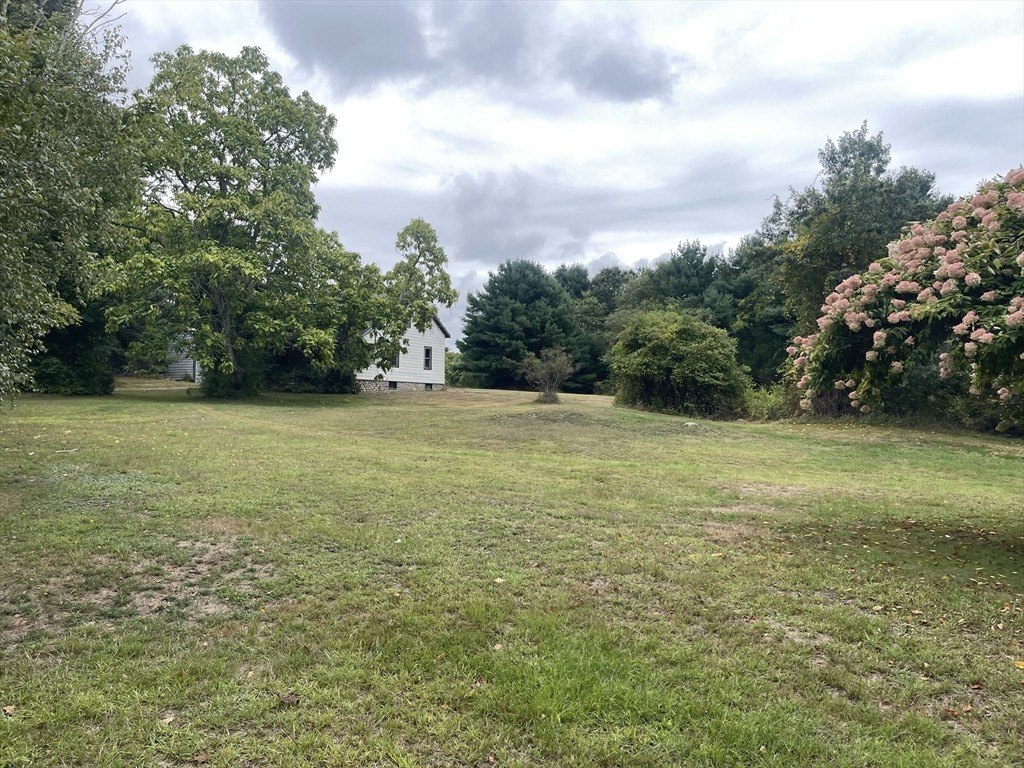 Picture 26