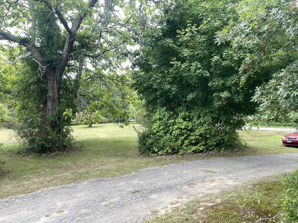 Picture 29