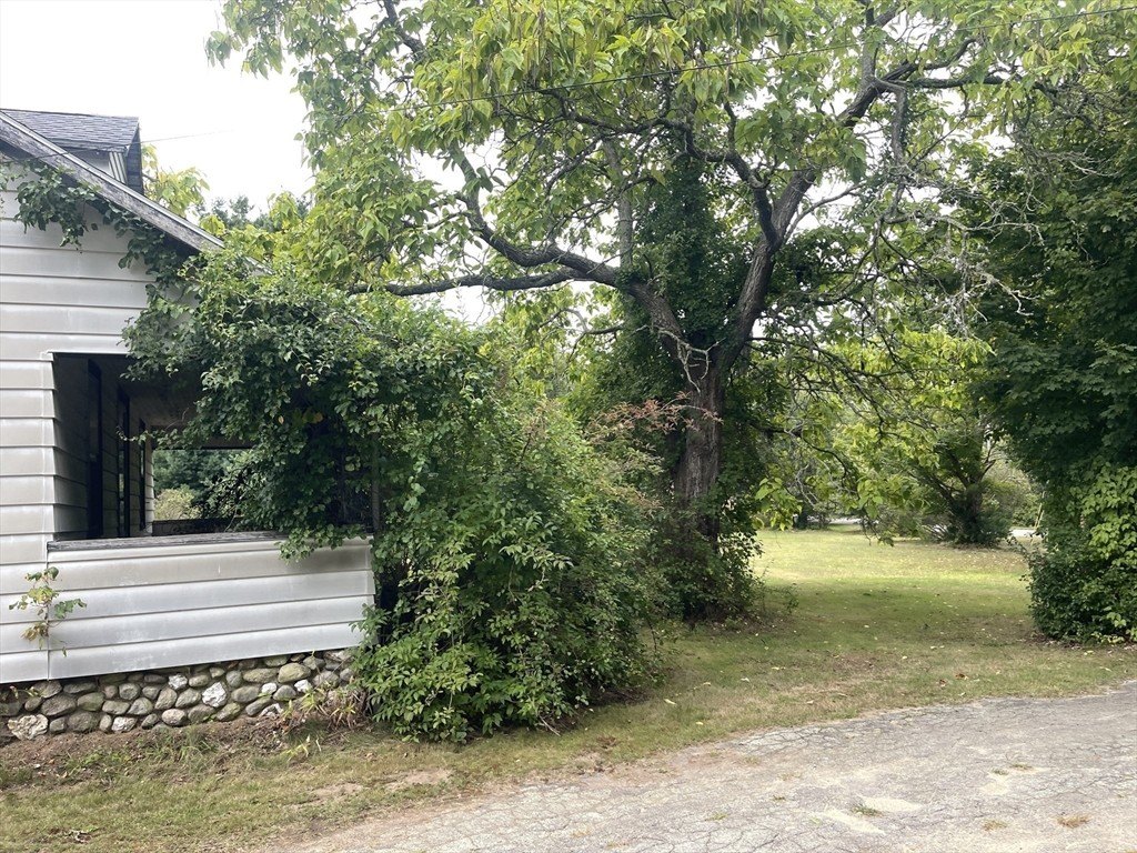 Picture 28
