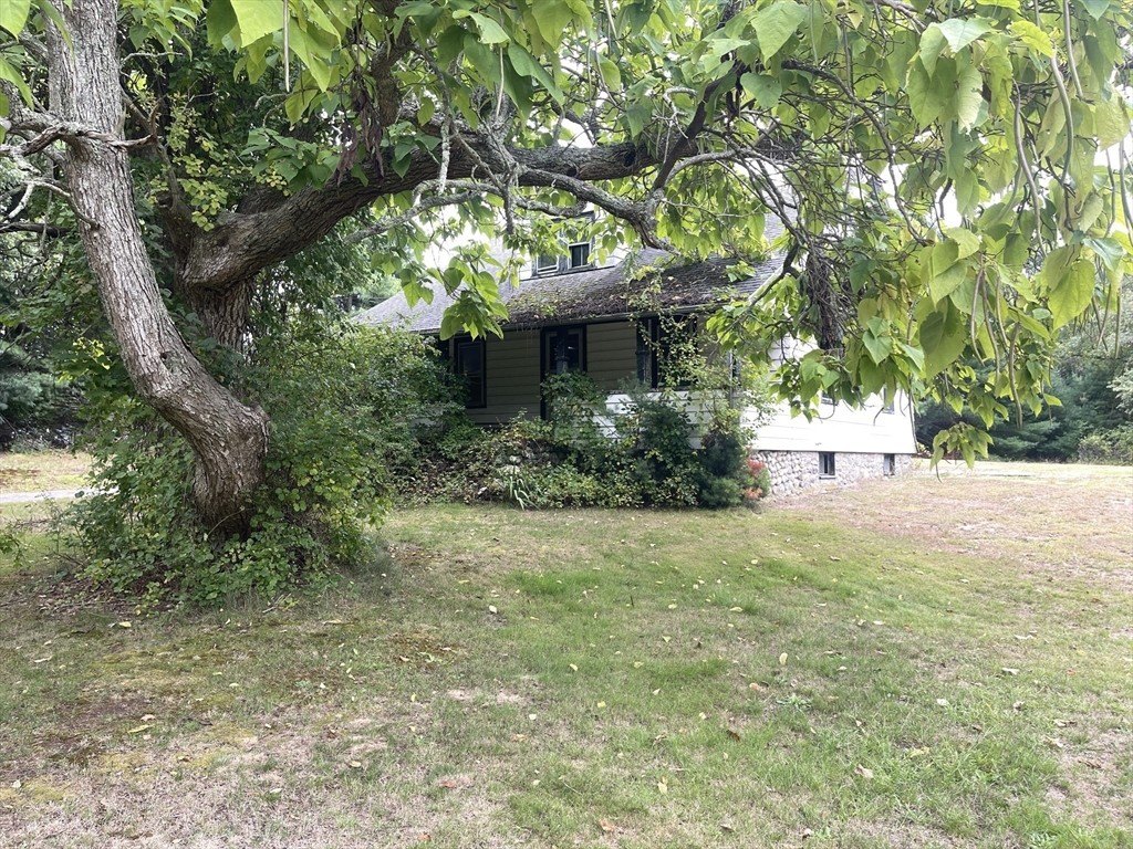 Picture 27