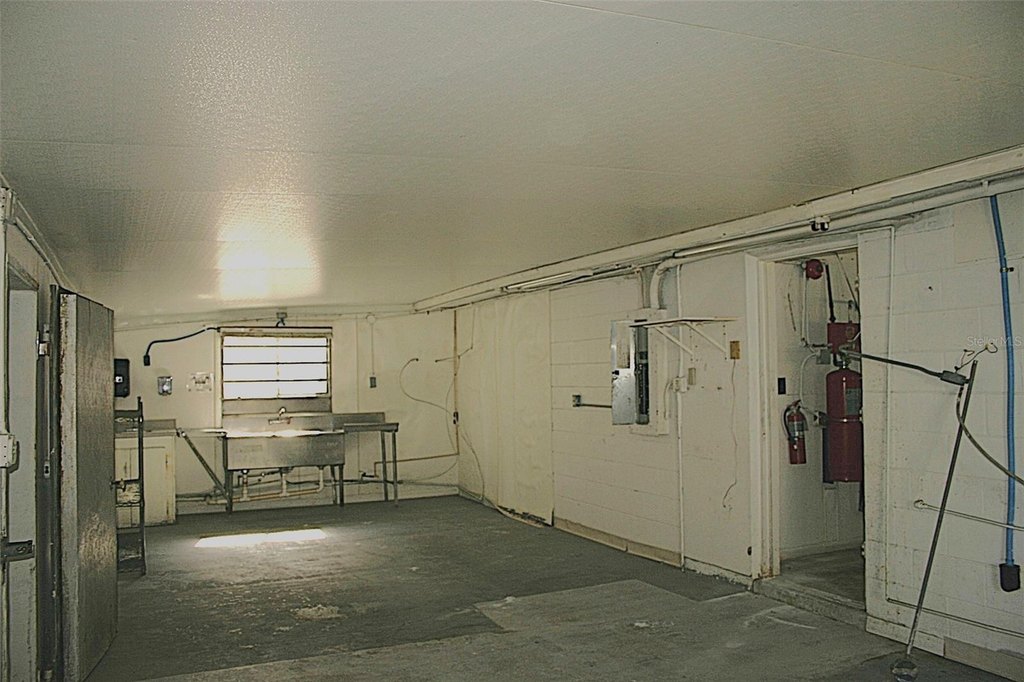 Picture 5